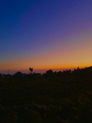 Il Vitigno di Dioniso in Ischia, Italy