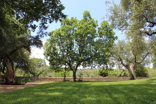 Trulli Gemma — Unknown City — photo 5