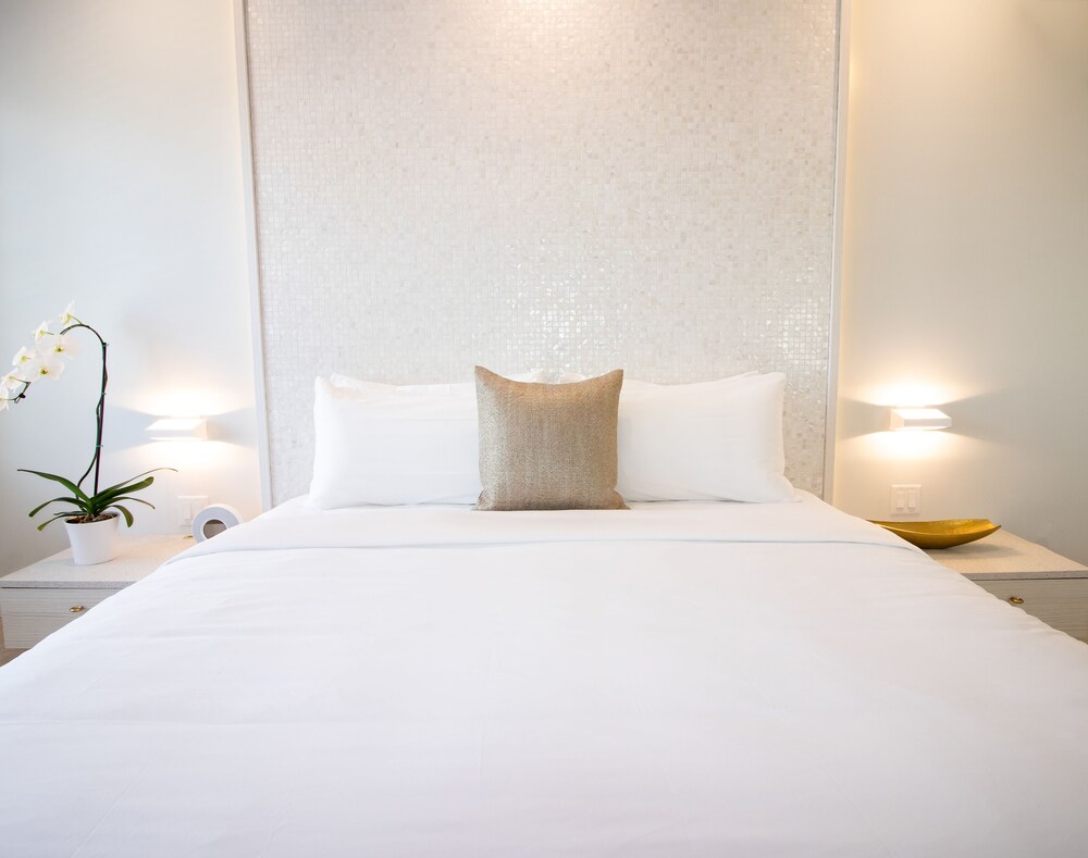 Cardozo Hotel South Beach - photo 3
