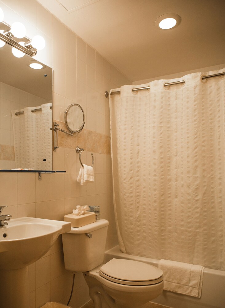 Econo Lodge Times Square - photo 38