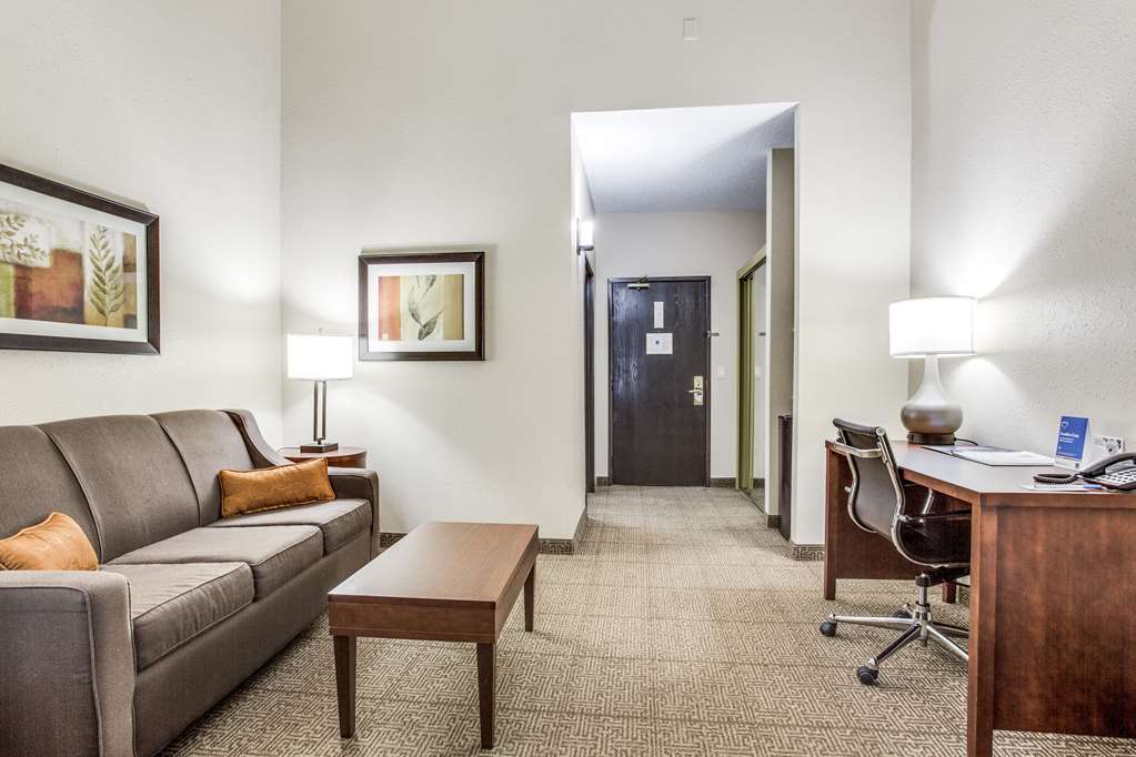 Comfort Inn & Suites Love Field Dallas Market Center - photo 17