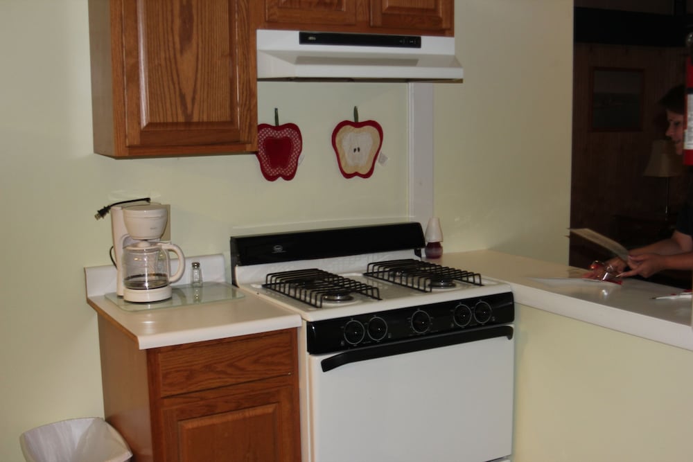 The Evergreen Motel - photo 48