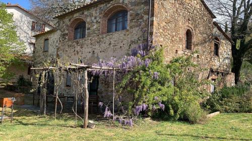 Podere Bellavista — hotel in Monterotondo