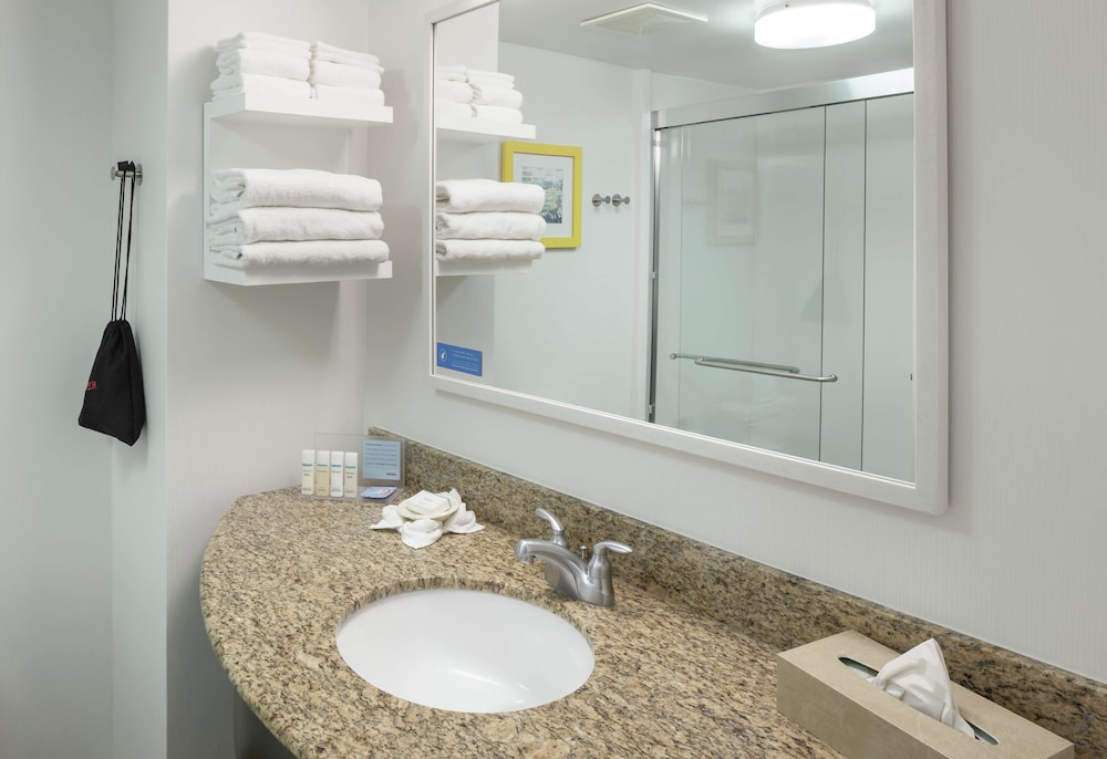 Hampton Inn Austin Round Rock - photo 21
