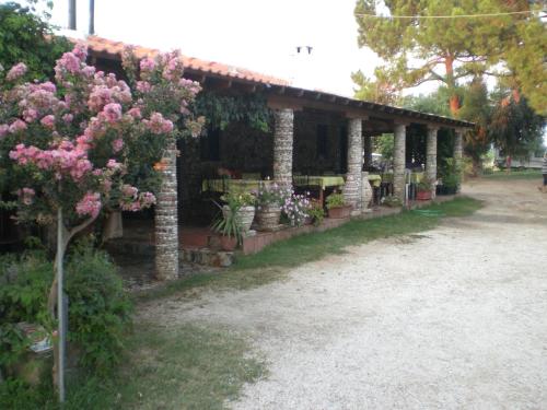 Eleni Rooms Develiki — hotel in Ierissos