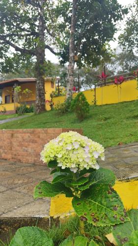 Pousada Chácara Pau Brasil - last minute hotel in Lagoa Seca