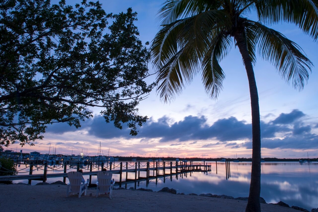 Coconut Palm Inn - photo 30