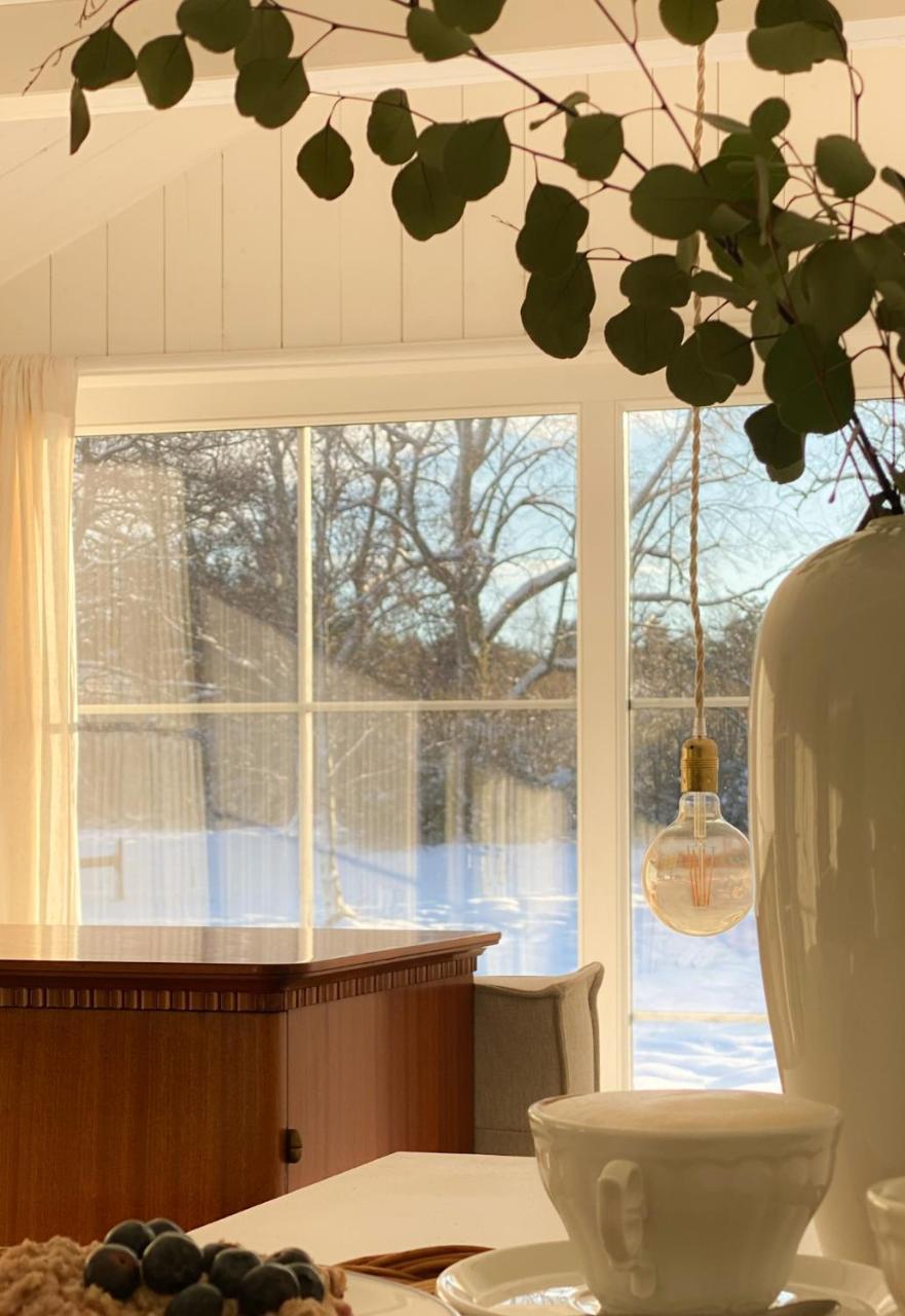 Ragnar Glamp Pitrags Lux in Dundaga, Latvia