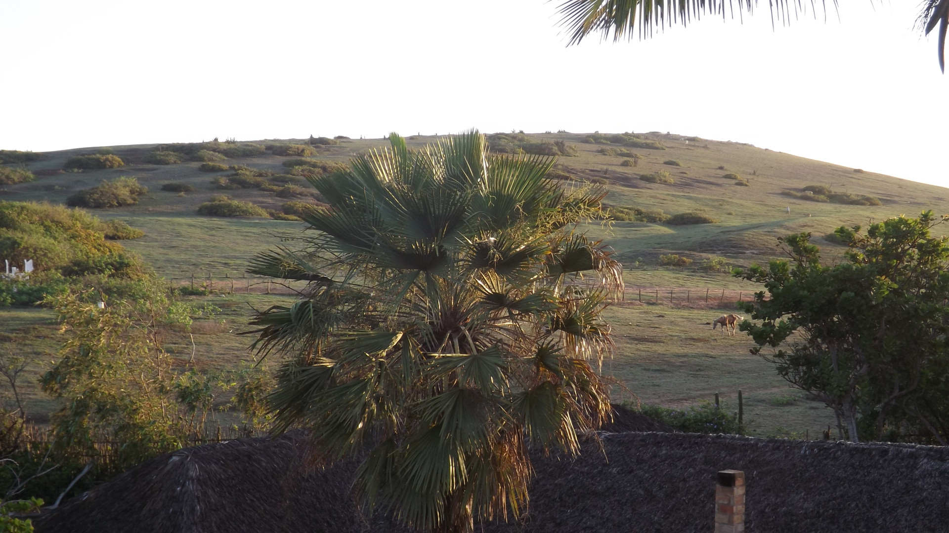 Maloca Hospedagem — Unknown City — photo 5