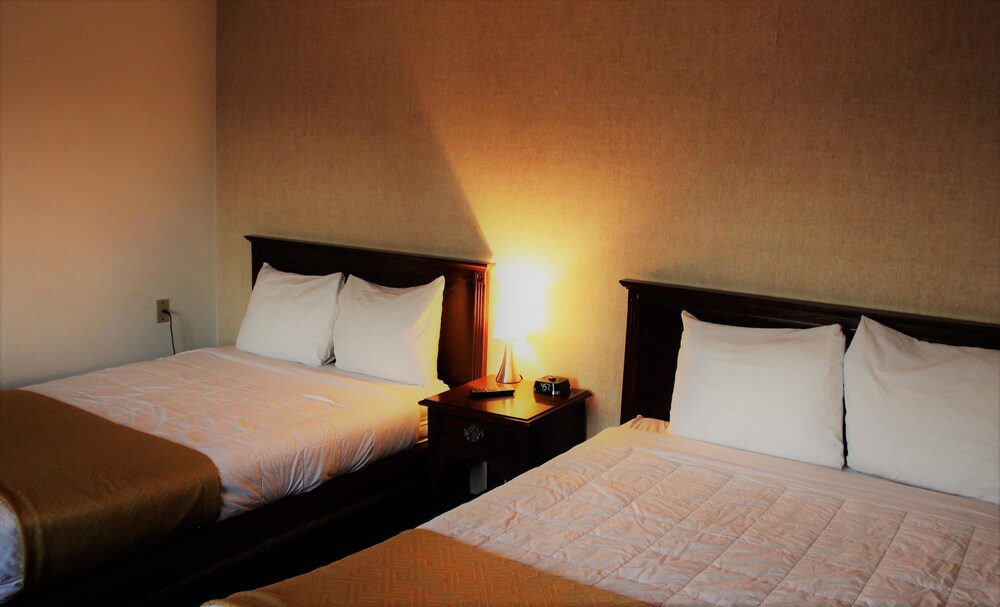 Econo Lodge Inn and Suites Central - photo 10