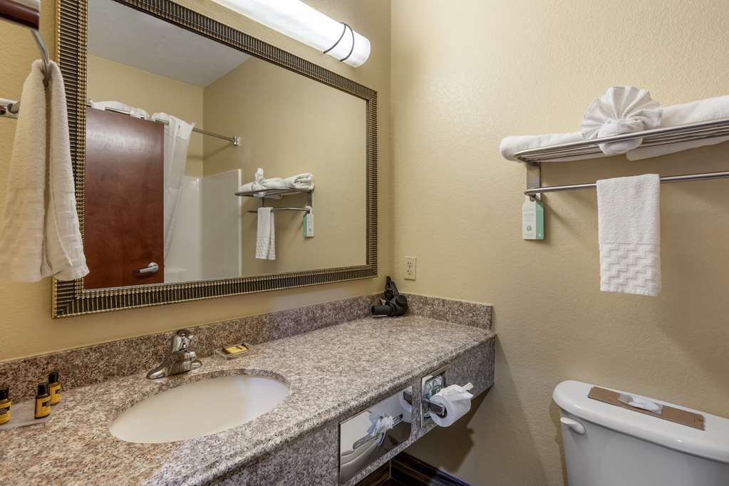 Best Western Plus Springfield Airport Inn - photo 16