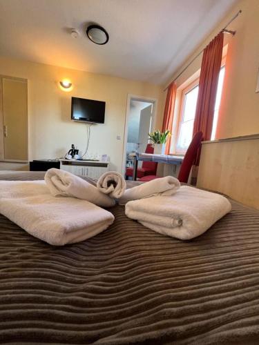 Hotel Pension Zur Mole - carbon neutral hotel in Wiek
