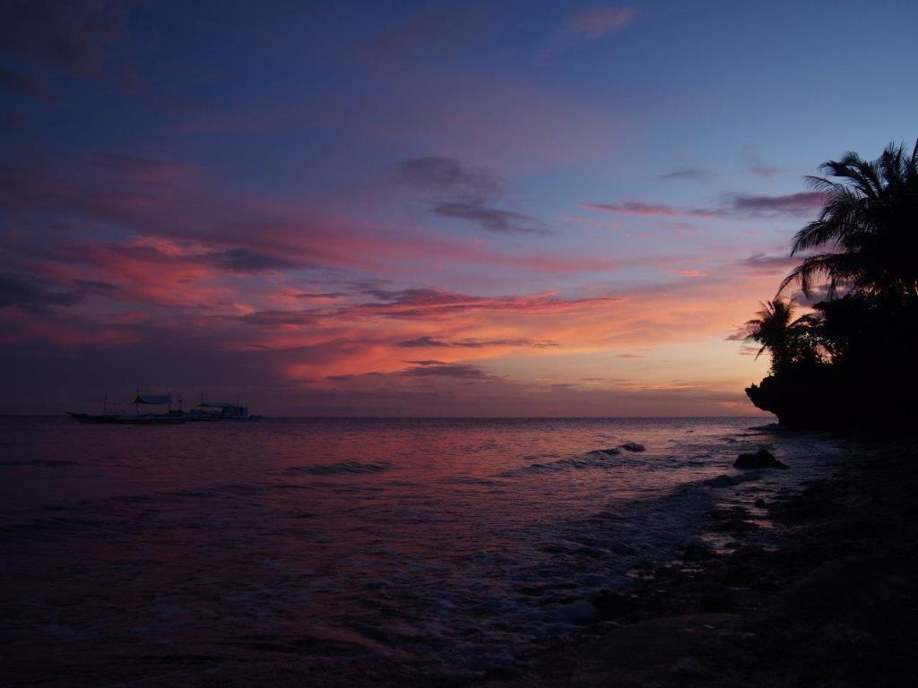 Magic Oceans Dive Resort — Anda — photo 5