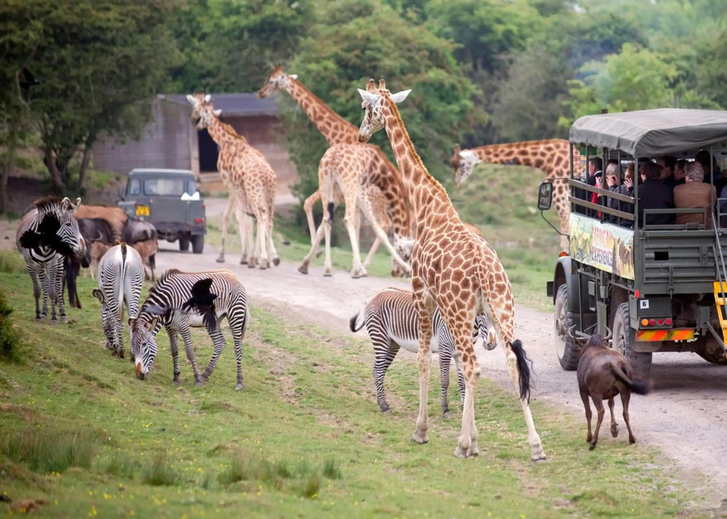 Port Lympne Reserve Port Lympne Hotel in Hythe, United Kingdom