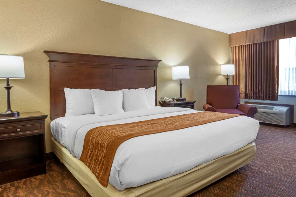 Comfort Inn at Thousand Hills - photo 9