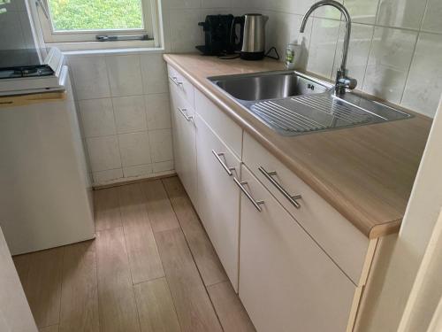 Bungalow Appelscha — Appelscha — photo 3