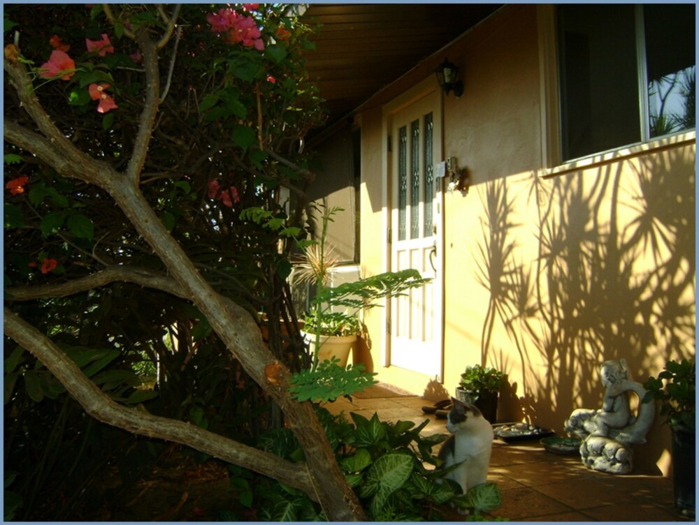 Ocean Breeze Hideaway - photo 17