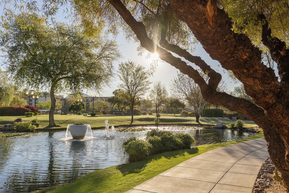 Fairmont Scottsdale Princess - photo 243