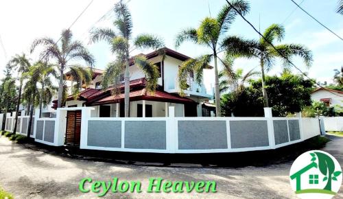 Ceylon Heaven — Unknown City — photo 2