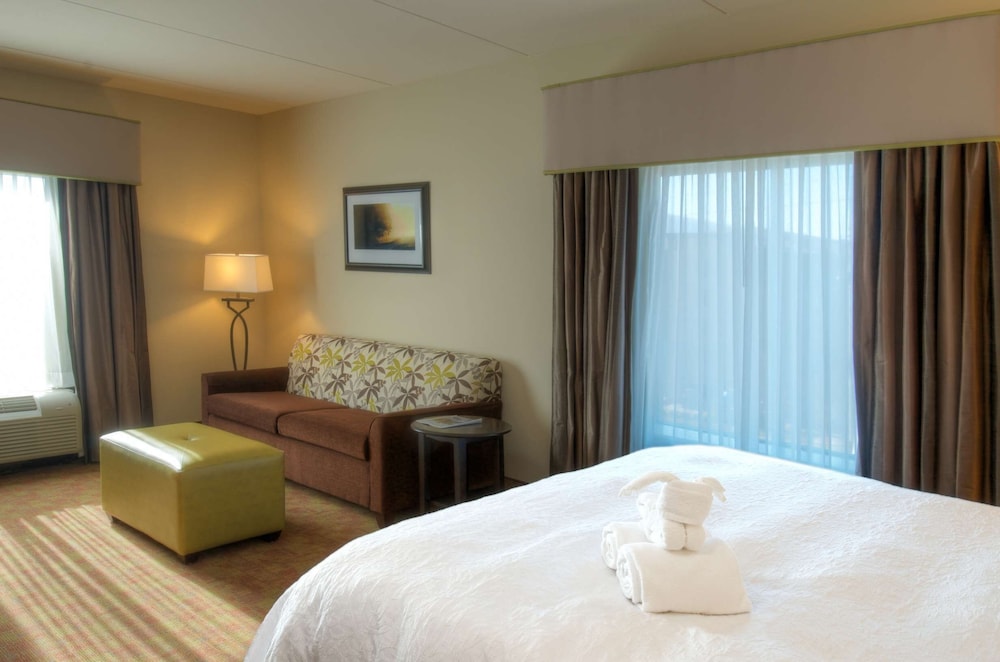 Hampton Inn Pigeon Forge - photo 20