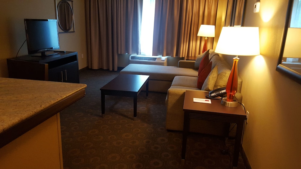Crowne Plaza Houston Galleria Area by IHG - photo 7
