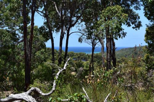 Eagle Bay House — Dunsborough — photo 4
