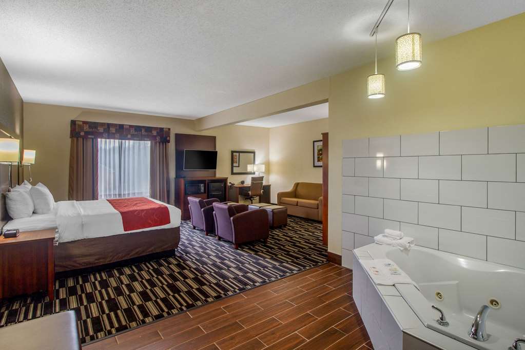 Comfort Suites Danville - photo 14