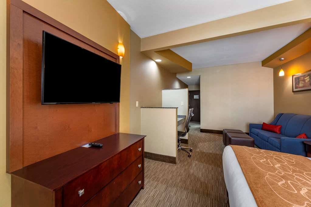 Comfort Suites Perrysburg Toledo South - photo 21