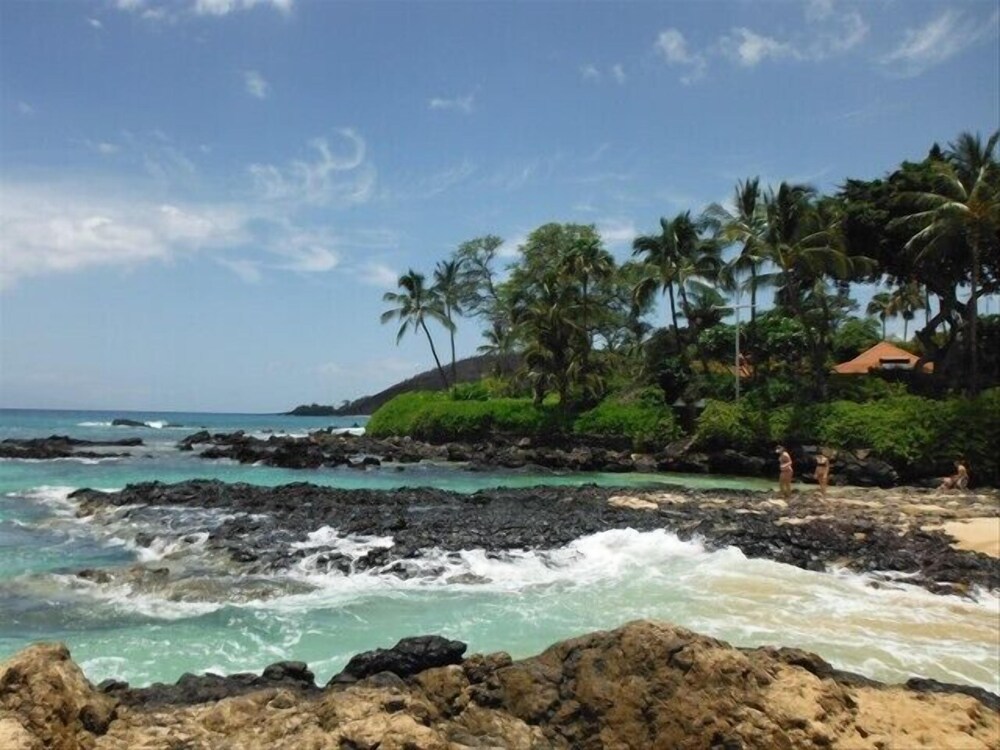 Kihei Akahi D402 - photo 30