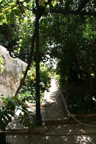 Ivo's garden studio apartment near the old town