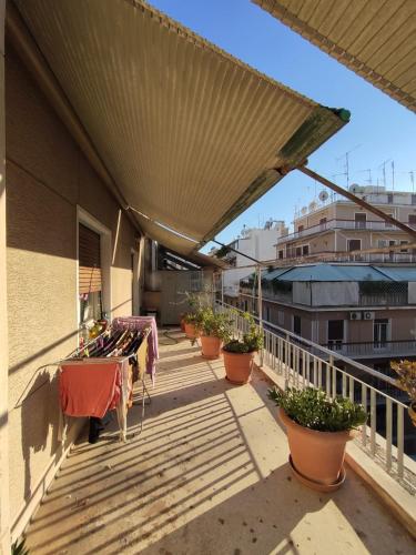 Zizi room — Athens — photo 5