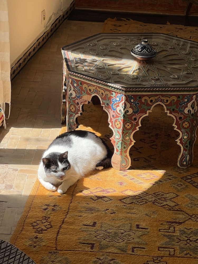 Riad Oasis D'asilah — 4-Star Luxury Hotel in Asilah, Morocco