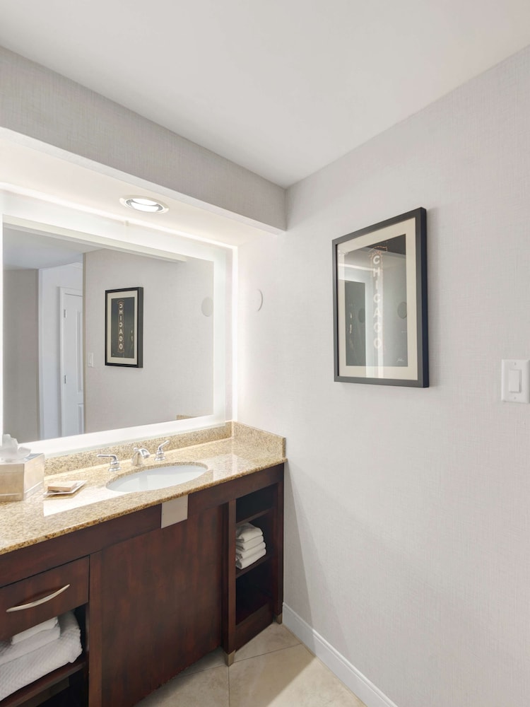Hilton Chicago Oak Lawn - photo 11