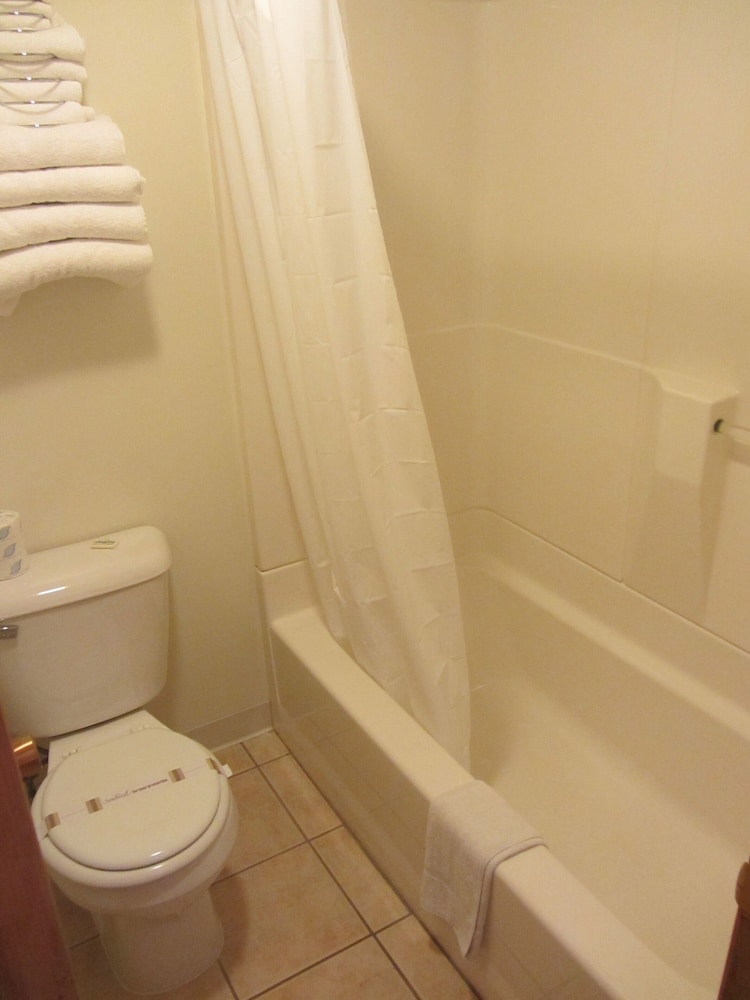 Green Dolphin Motel - photo 46