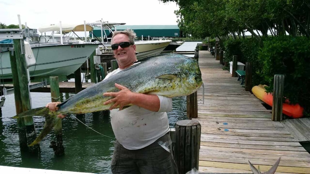 Dockside Inn & Resort - photo 30