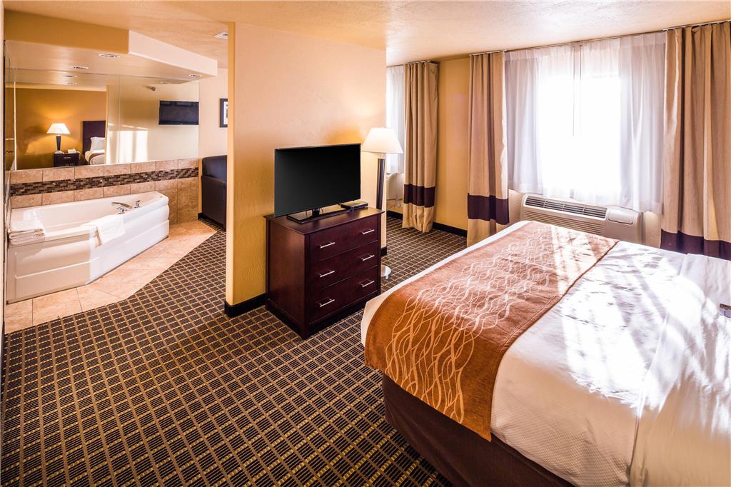 Comfort Inn & Suites Gunnison Crested Butte - photo 10