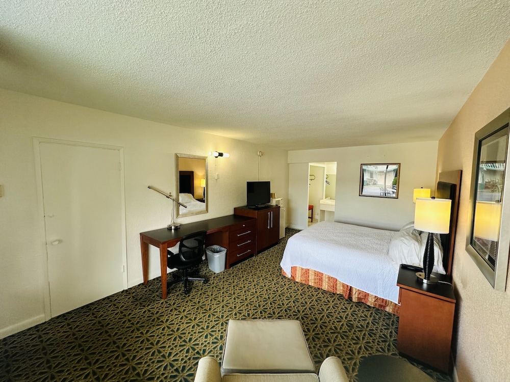 Boca Inn - photo 13
