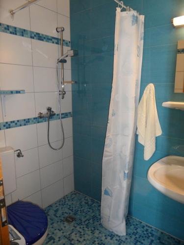 Hotel Pension Salzsäumerhof — Spiegelau — photo 5