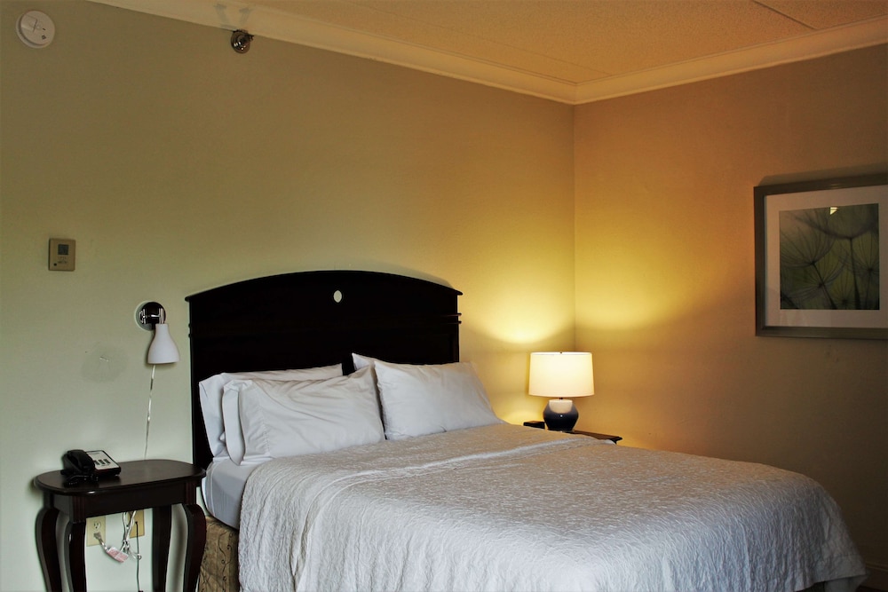 Hampton Inn Americus - photo 8