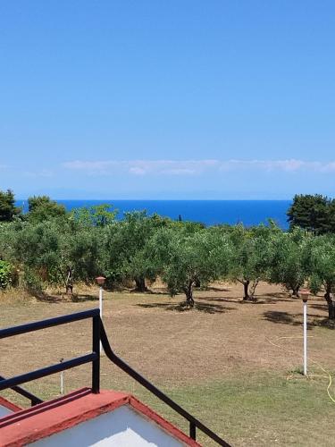 Mare e Monti - last minute hotel in Litochoro