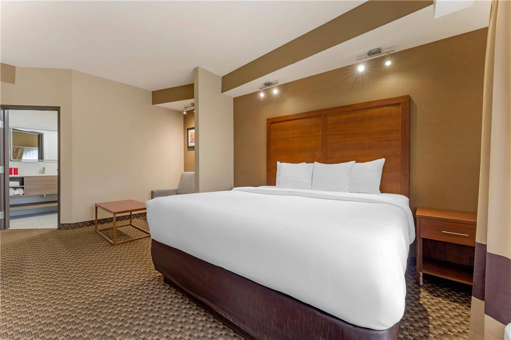 Comfort Suites Monroeville Pittsburgh East - photo 35
