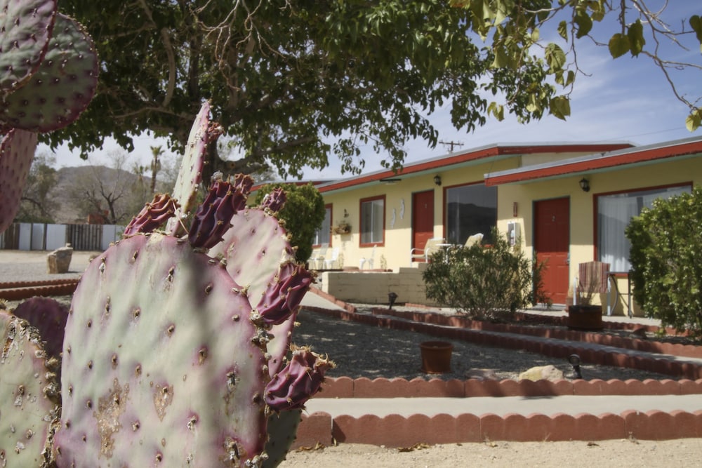 Harmony Motel - photo 50