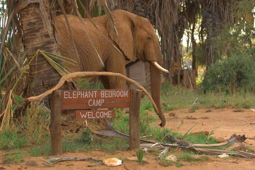 Elephant Bedroom Camp — 5-Star Luxury Hotel in Isiolo, Kenya