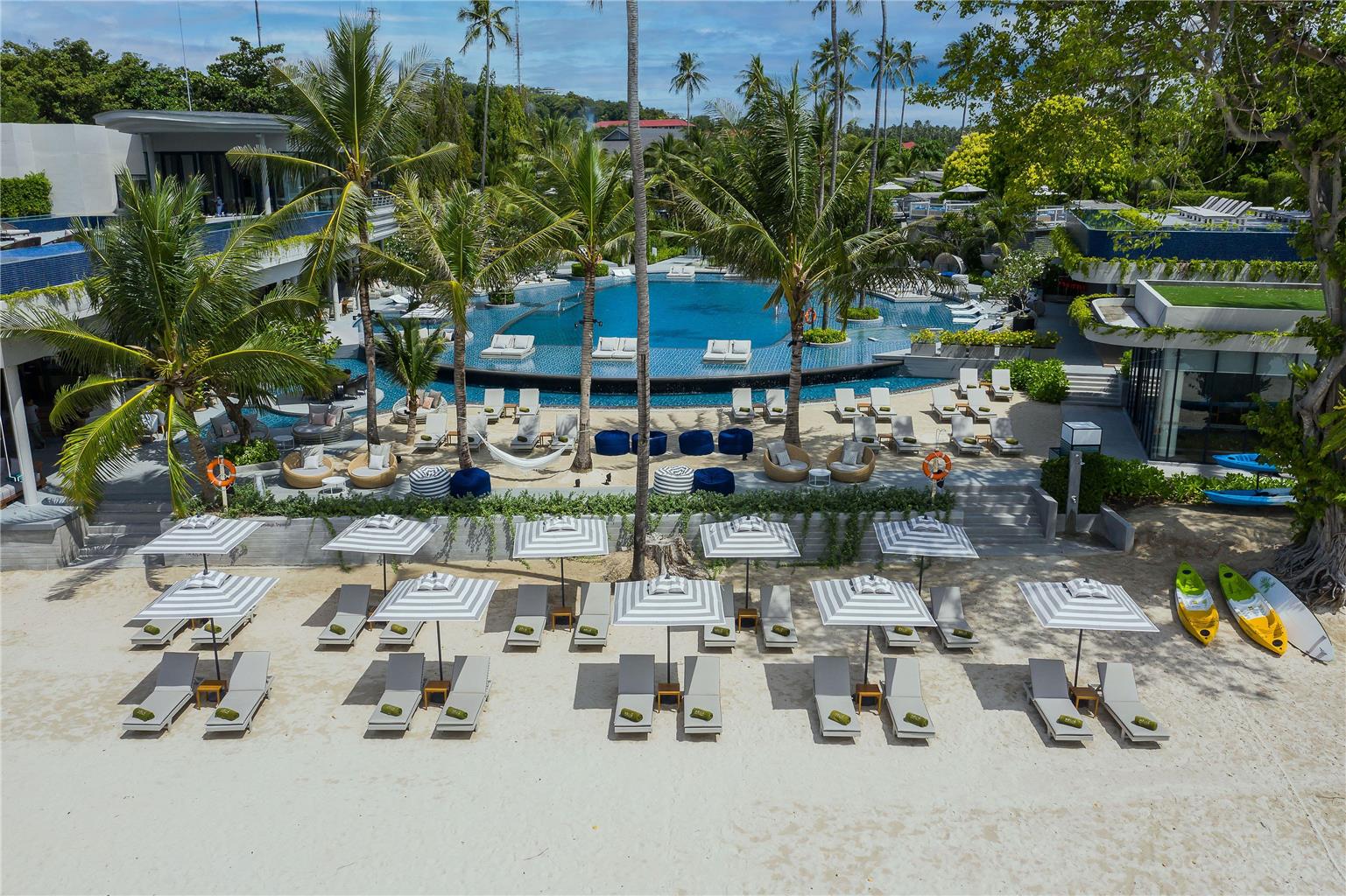 מראה חיצוני