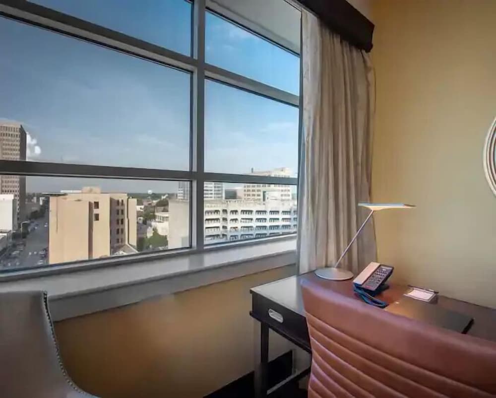 Hilton Baton Rouge Capitol Center - photo 61