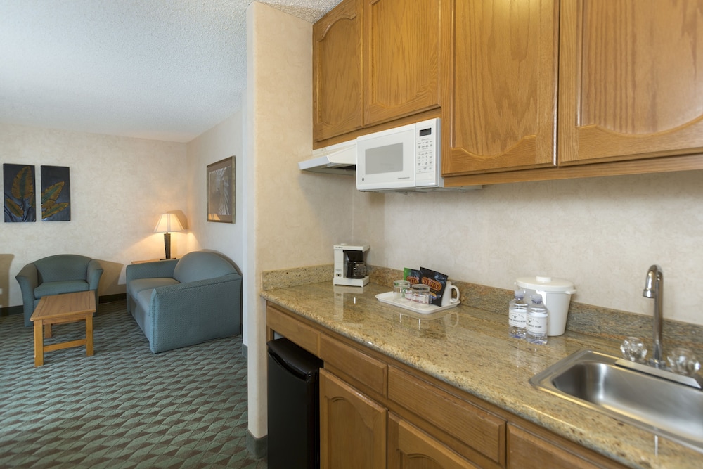 Borrego Springs Resort & Spa - photo 4