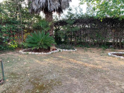 Villa Laforge — Carmona — photo 5