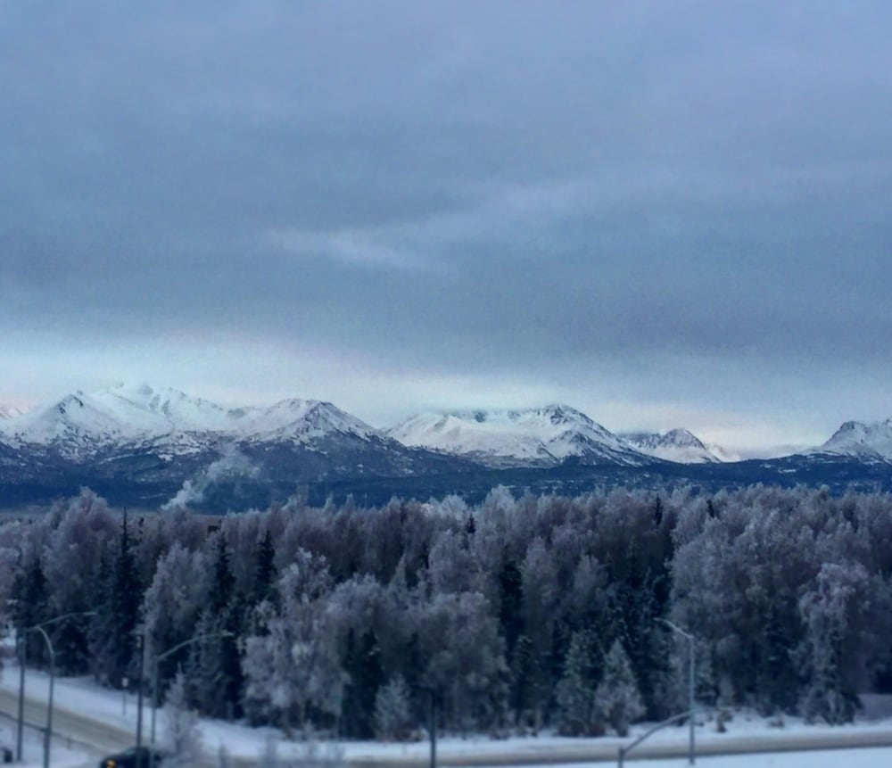 Home2 Suites by Hilton Anchorage Midtown - photo 39