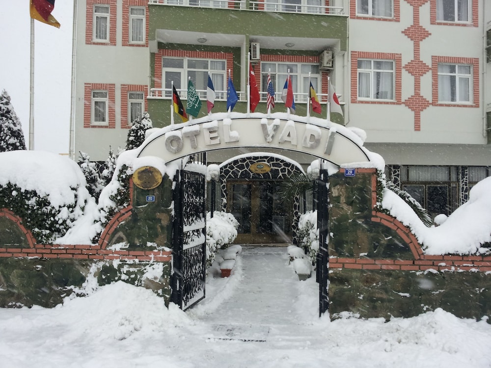 Vadi Hotel — Akcakoca