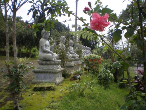 Raja Singha — Lovina — photo 4